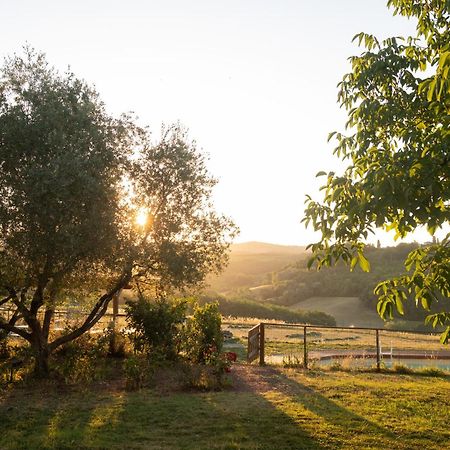 Agriturismo Le Tre Pietre - Podere Nel Chianti Quercegrossa Bagian luar foto