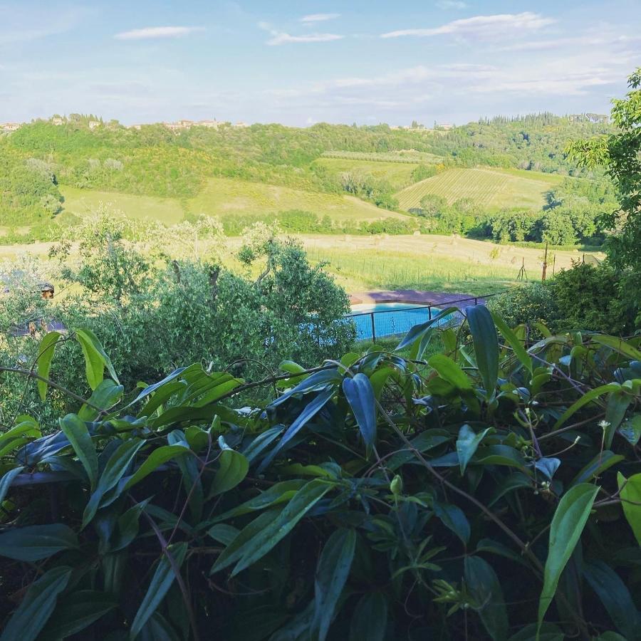 Agriturismo Le Tre Pietre - Podere Nel Chianti Quercegrossa Bagian luar foto