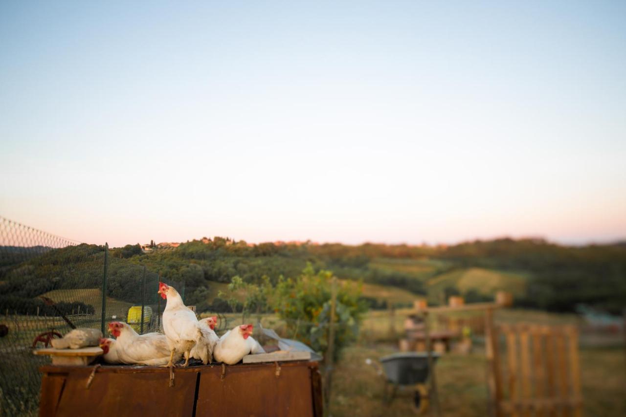 Agriturismo Le Tre Pietre - Podere Nel Chianti Quercegrossa Bagian luar foto
