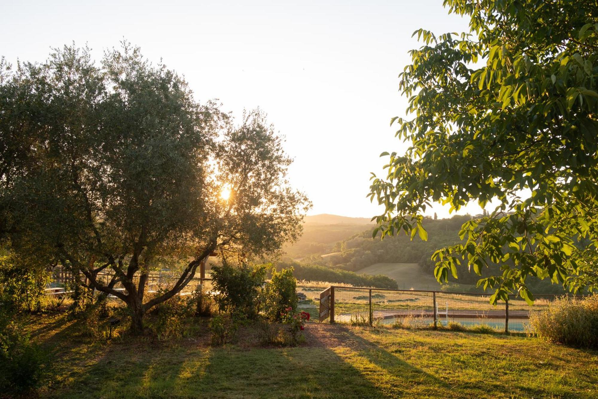 Agriturismo Le Tre Pietre - Podere Nel Chianti Quercegrossa Bagian luar foto