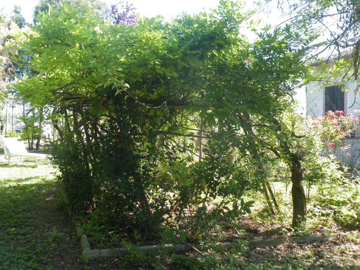Agriturismo Le Tre Pietre - Podere Nel Chianti Quercegrossa Bagian luar foto