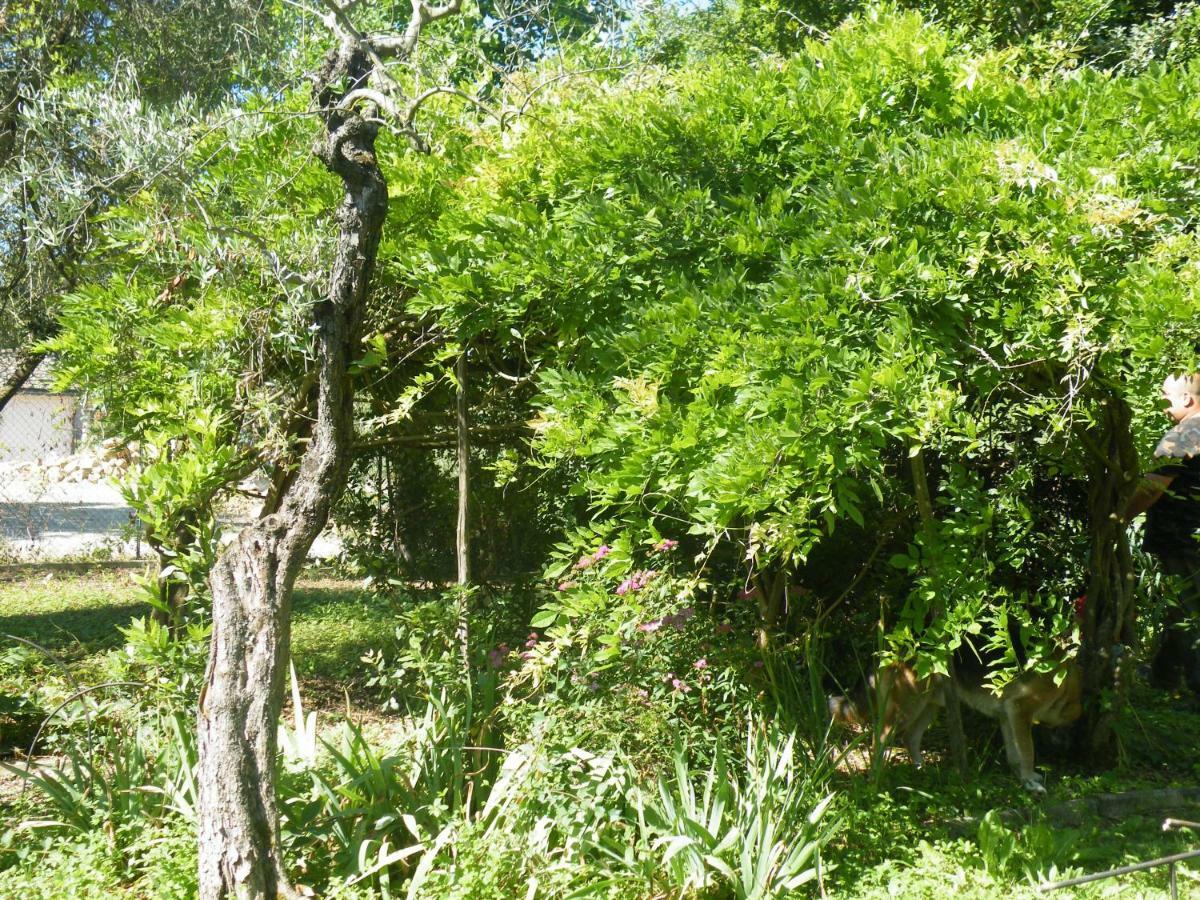 Agriturismo Le Tre Pietre - Podere Nel Chianti Quercegrossa Bagian luar foto